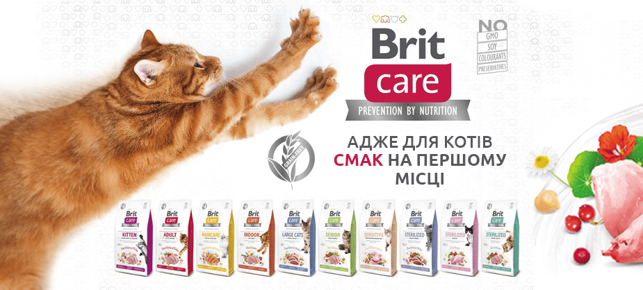 Brit Care Cat: секрет завоювання котячих сердець