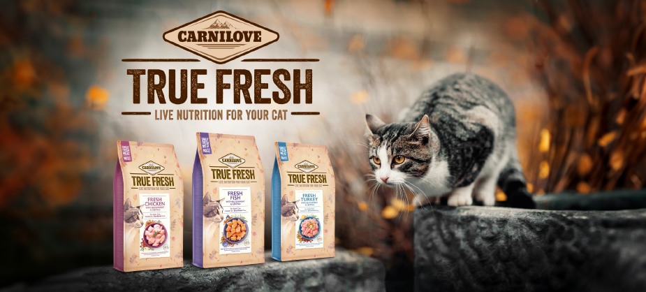 Carnilove True Fresh Cat: дуууже багато свіжого м’яса