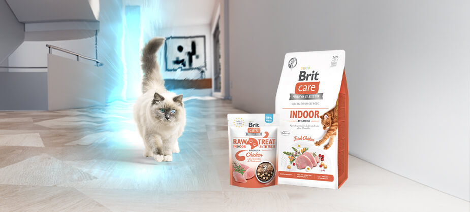 Профілактика через харчування: спокій котика починається з Brit Care Indoor Antistress