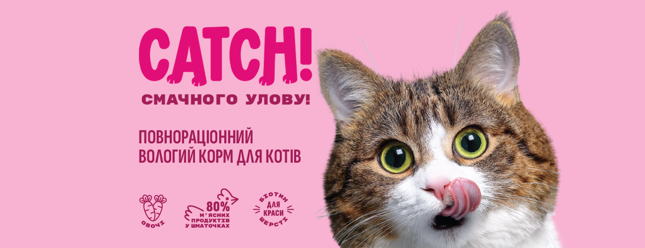 Великий улов на полиці – це CATCH!