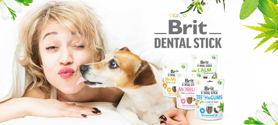 Нові ласощі Brit Dental Sticks – для песиків, які не чистять зуби щоранку