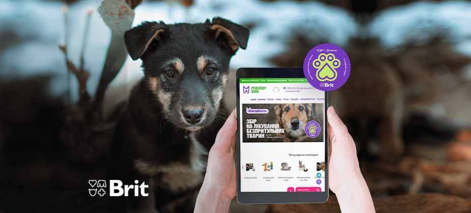 MasterZoo, UAnimals та Brit закликають простягнути «лапку» допомоги безпритульним хвостикам у прифронтових містах