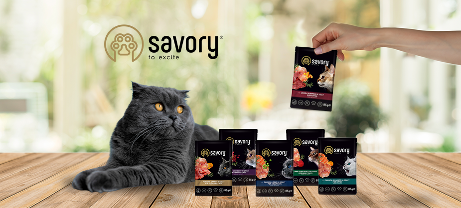 Паучі Savory – новий корм для здорового котячого життя