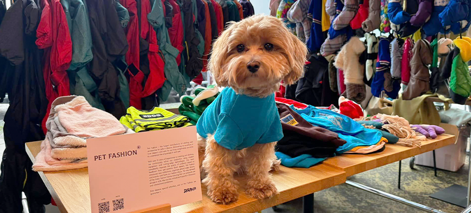 Із Берліну з любов'ю: український фешн для хвостатих на SKRYNYA pop-up charity market