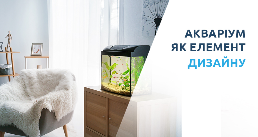 Прикрасьте свою оселю акваріумом
