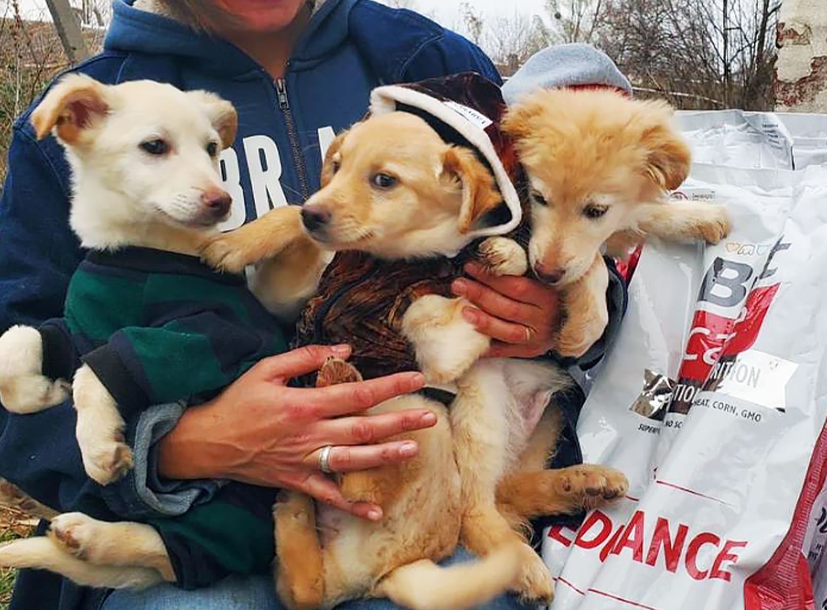 Чоловік годує собаку