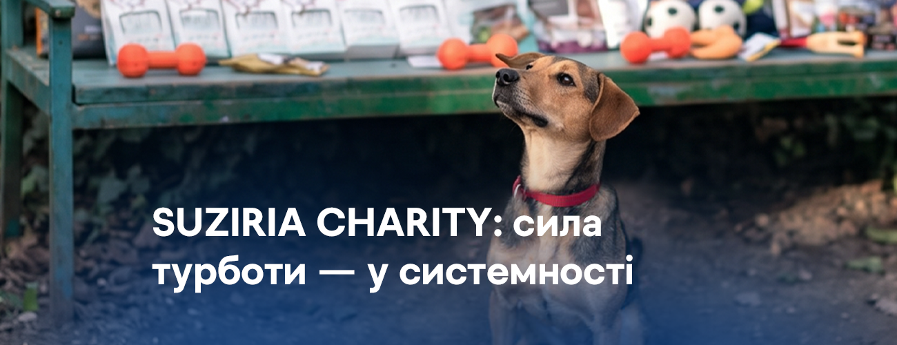 Истории поддержки, меняющие жизни: как Suziria Charity помогает приютам