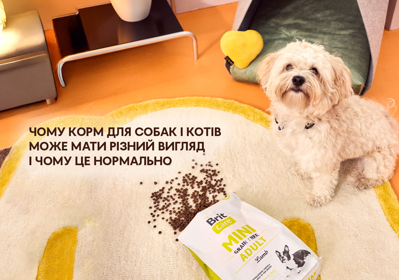 Почему корм для собак и кошек может выглядеть по-разному и почему это нормально