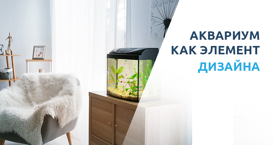 Украсьте свой дом аквариумом